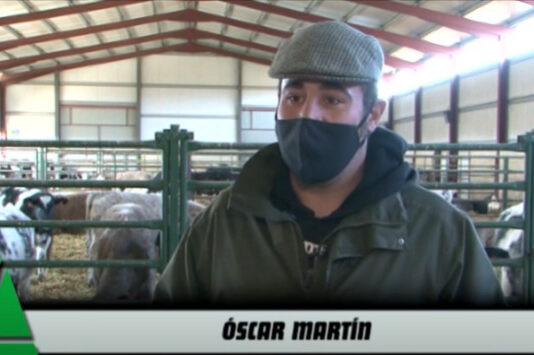 Campo Abulense 27 de enero de 2022