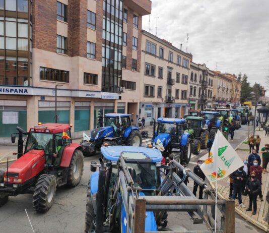 Medio centenar de tractores y más de 500 persona reclaman precios justos para el campo en las calles de Ávila
