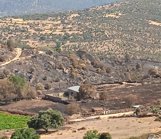 La Junta de Castilla y León discrimina al sector agrario en las ayudas por los incendios