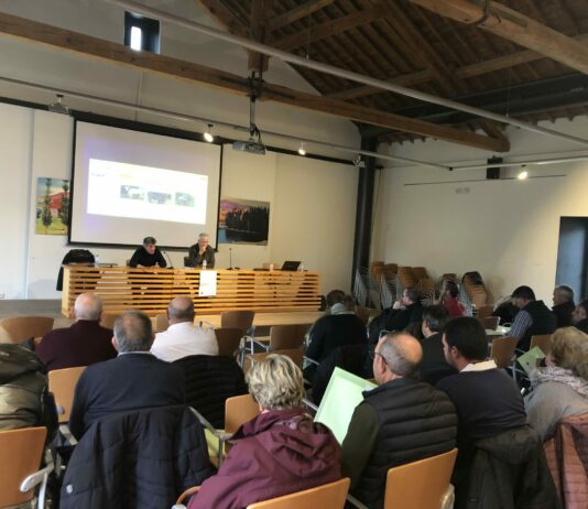 LA DERMATOSIS NODULAR CONTAGIOSA LLEGA AL CENTRO DEL DEBATE GANADERO EN ÁVILA