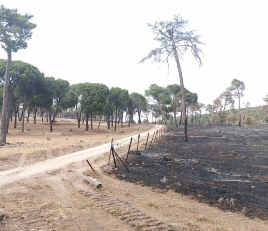 ASAJA reclama una gestión unificada de Agricultura y Medio Ambiente para frenar el deterioro del campo y la despoblación rural