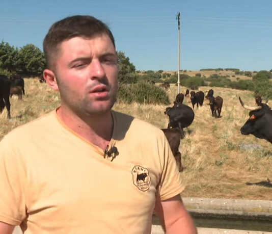 Campo Abulense 10-07-2025