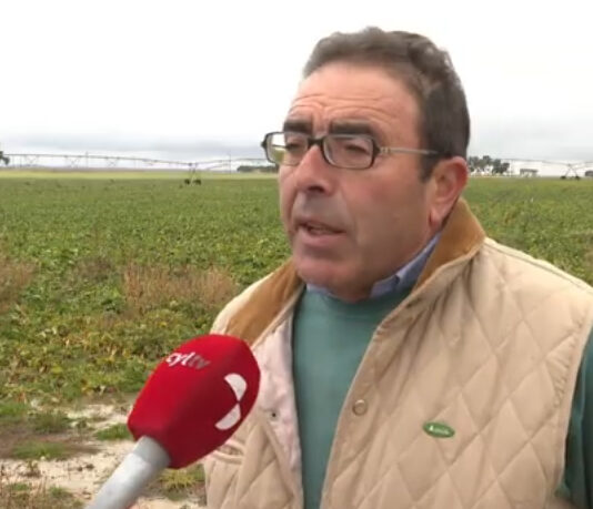 Campo Abulense 11-12-2025