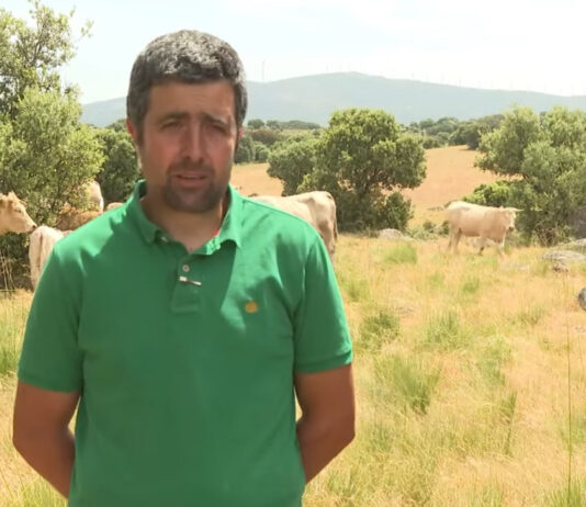 Campo Abulense 13-06-2025