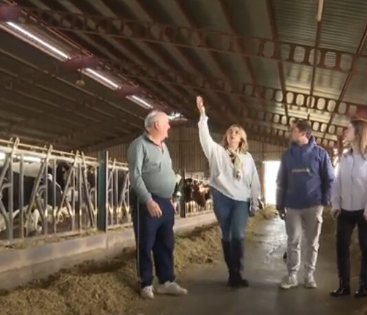 Campo Abulense 13-11-2025