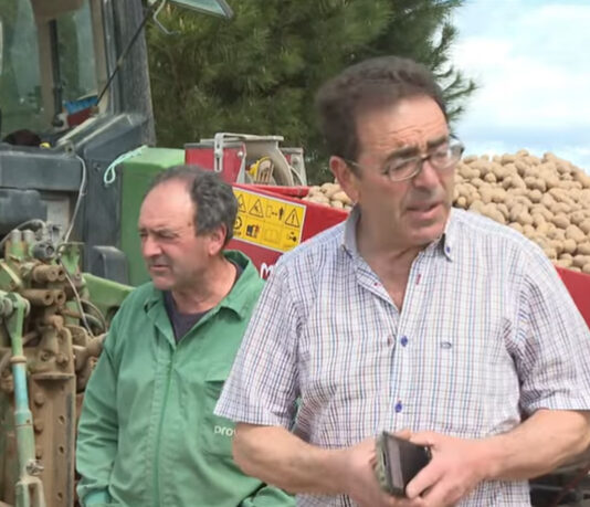 Campo Abulense 15-05-2025