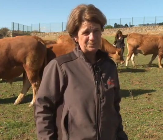 Campo Abulense 16-10-2025