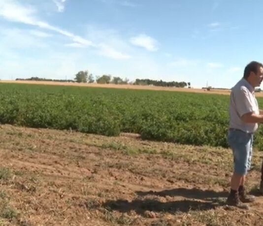 Campo Abulense 18-09-2025