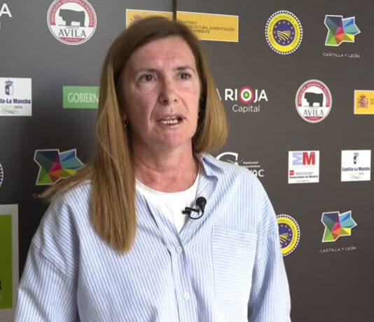 Campo Abulense 02-10-2025