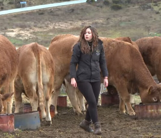 Campo Abulense 23-01-2025