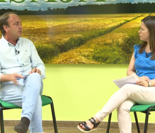 Campo Abulense 24-07-2025