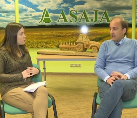 Campo Abulense 26-12-2024