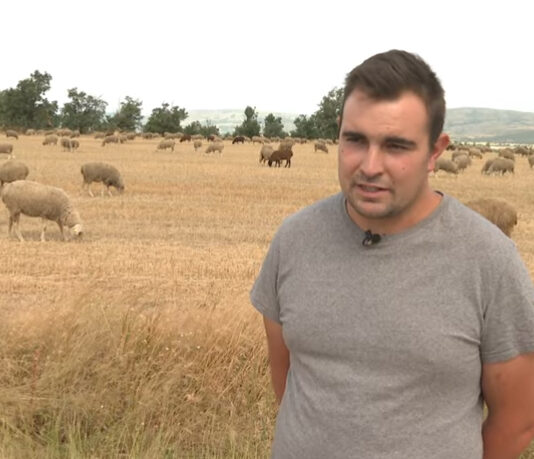 Campo Abulense 26-06-2025