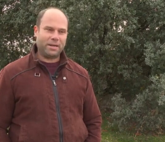 Campo Abulense 27-11-2025