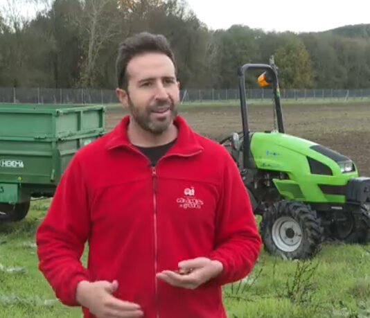 Campo Abulense 28-11-2024