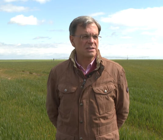 Campo Abulense 03-04-2025