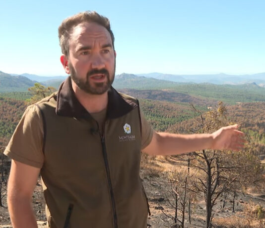 Campo Abulense 04-09-2025