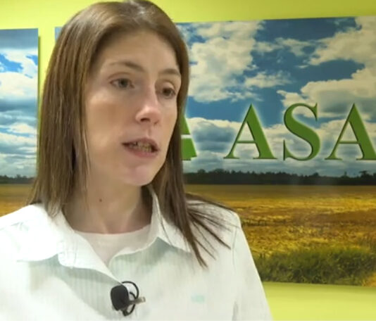 Campo Abulense 06-02-2025