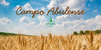 Campo Abulense 8-1-2026