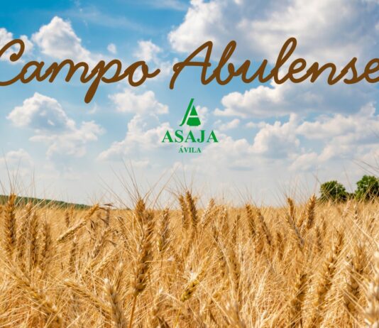 Campo Abulense 22-1-2026
