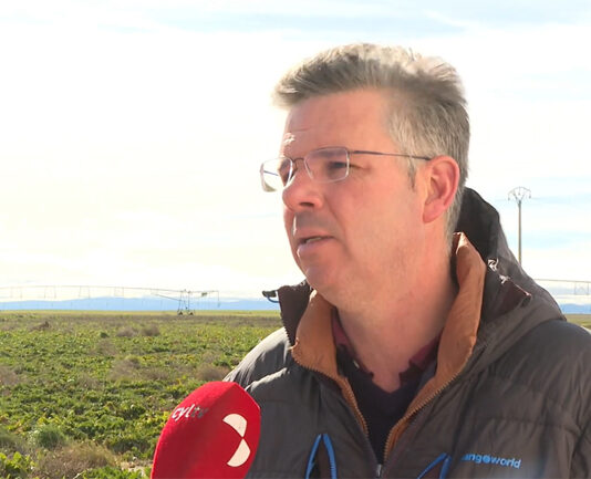 Campo Abulense 19-02-2026