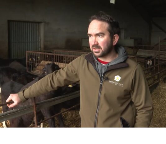 Campo Abulense 5-02-2026