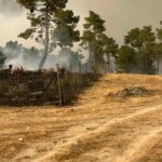 ASAJA ÁVILA EXIGE QUE, DE INMEDIATO, SE HAGA PÚBLICA LA RESOLUCIÓN DEL LEVANTAMIENTO DE PASTOS DE LA QUE HABLA EL CONSEJERO