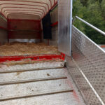 ASAJA ÁVILA SOLICITA LA REACTIVACIÓN Y EL REFUERZO DE LOS CENTROS PÚBLICOS DE DESINFECCIÓN DE VEHÍCULOS DE TRANSPORTE GANADERO EN LA PROVINCIA DE ÁVILA