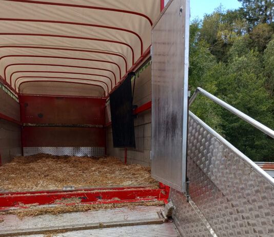 ASAJA ÁVILA SOLICITA LA REACTIVACIÓN Y EL REFUERZO DE LOS CENTROS PÚBLICOS DE DESINFECCIÓN DE VEHÍCULOS DE TRANSPORTE GANADERO EN LA PROVINCIA DE ÁVILA