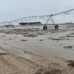 LAS LLUVIAS ALIVIAN LOS EMBALSES, PERO AGRAVAN LOS DAÑOS EN EL CAMPO Y LOS CULTIVOS