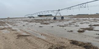 LAS LLUVIAS ALIVIAN LOS EMBALSES, PERO AGRAVAN LOS DAÑOS EN EL CAMPO Y LOS CULTIVOS