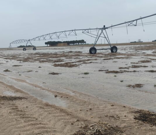LAS LLUVIAS ALIVIAN LOS EMBALSES, PERO AGRAVAN LOS DAÑOS EN EL CAMPO Y LOS CULTIVOS