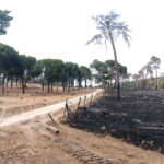 ASAJA APOYA A LA JUNTA FRENTE A LOS IRRESPONSABLES QUE HAN RECURRIDO EL LEVANTAMIENTO DEL ACOTAMIENTO DE PASTOS EN MONTES QUEMADOS