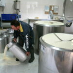 El sector ganadero pide una prórroga que garantice la recogida de leche mientras se negocia una solución