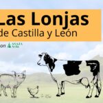 LAS LONJAS CYL – SEMANA DEL 9 DE MARZO 2026