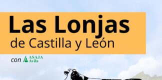LAS LONJAS CYL – SEMANA DEL 2 DE MARZO 2026