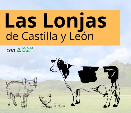 LAS LONJAS CYL – SEMANA DEL 9 DE MARZO 2026