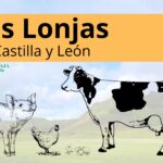 LAS LONJAS CYL – SEMANA DEL 13 DE ABRIL