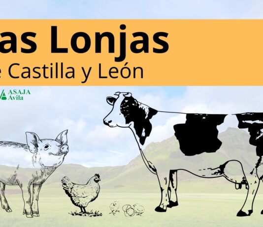 LAS LONJAS CYL – SEMANA DEL 13 DE ABRIL