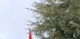 ASAJA ÁVILA PIDE RESPONSABILIDAD A LOS PARTIDOS Y EL CUMPLIMIENTO DE PROMESAS TRAS LAS ELECCIONES