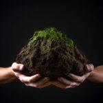 ASAJA considera que Castilla y León tiene un gran potencial para aplicar las propuestas de la Comisión Europea de impulso a biocombustibles y bioenergía