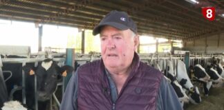 CAMPO ABULENSE 17-04-2026