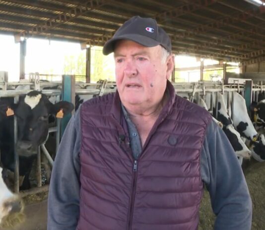 CAMPO ABULENSE 17-04-2026