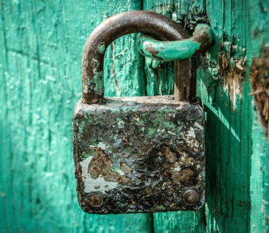 ASAJA ÁVILA VALORA EL ENDURECIMIENTO DE LAS PENAS POR HURTOS EN EL CAMPO Y RECLAMA QUE LA REFORMA SE TRADUZCA EN MÁS SEGURIDAD REAL