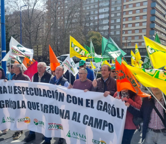 Las organizaciones agrarias de Castilla y León convocan de nuevo actos de protesta por la falta de rentabilidad del sector