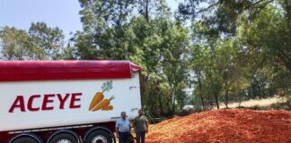 ASAJA ÁVILA CANALIZA ENVÍOS SOLIDARIOS DE ZANAHORIAS PARA EL GANADO AFECTADO POR LOS INCENDIOS