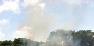 ASAJA PIDE A MEDIO AMBIENTE QUE “TOME NOTA” DE AGRICULTURA Y AUTORICE LA QUEMA CONTROLADA DE PASTOS