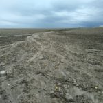 finca patatas fuentepiñel, segovia