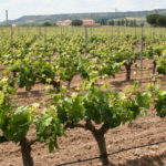 1577-media-viedo-1170×590