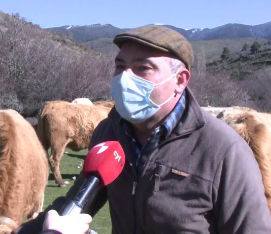 ASAJA vacuno Sierra de la Demanda 25 2 21